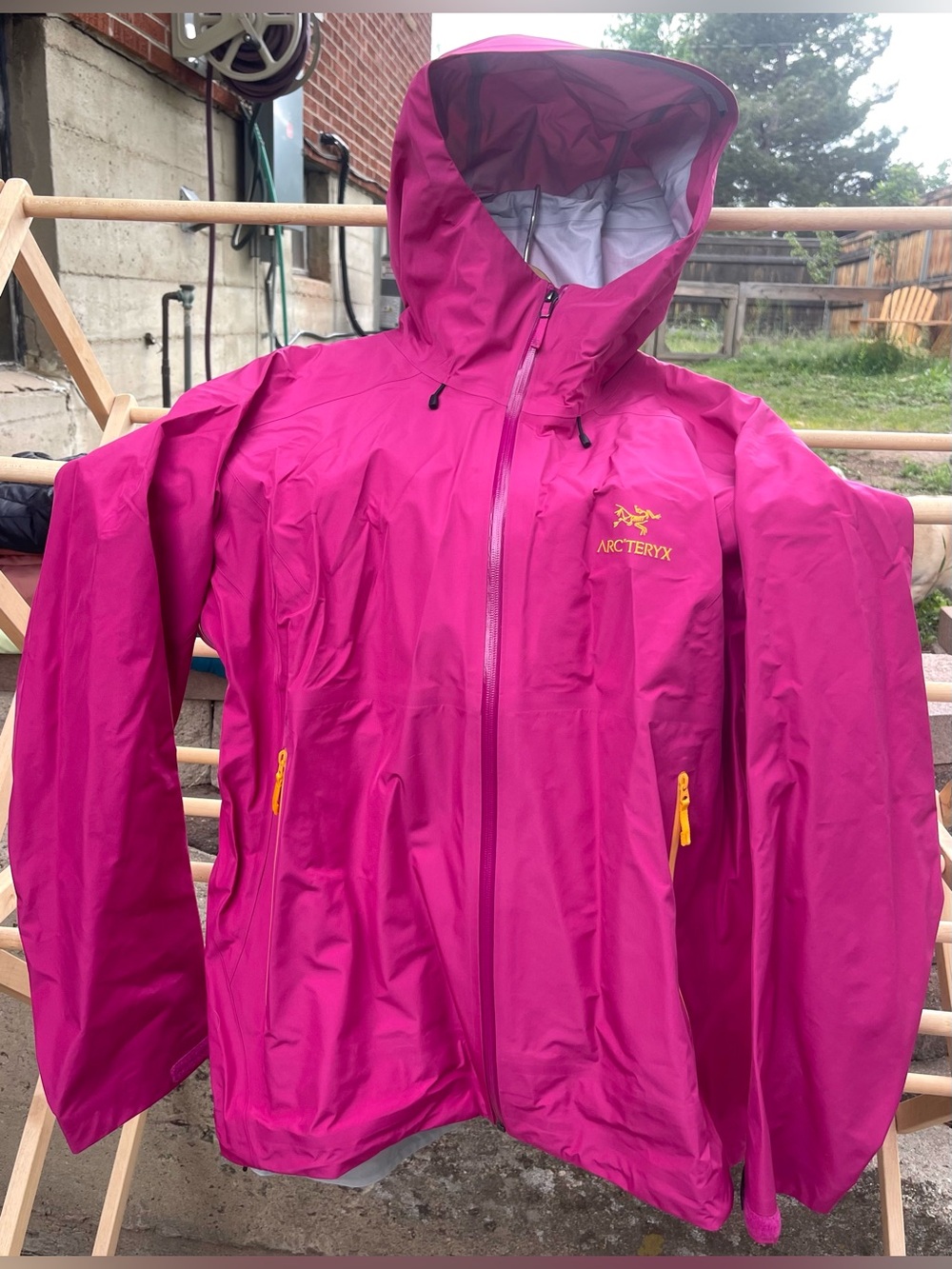 Arc'teryx Women's Beta LT Hooded Jacket in Amaranthus/Edziza. Size XXL. NWOT.